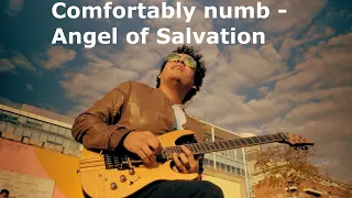 Pink Floyd Comfortably numb - Galneryus Angel of Salvation - Guitar Cover