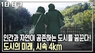 혁신에 성공한 세계 유명 도시는 ‘걷는 도시’, ‘차 없는 도시’를 지향한다! 인간과 자연이 공존하는 도시 (KBS 20201220 방송)