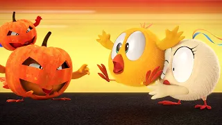 Where's Chicky? Funny Chicky 2021 | PUMPKIN'S BATTLE | Chicky Cartoon in English for Kids