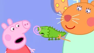 Peppa Pig Full Episodes | Dr Hamster‚Äôs Tortoise | Cartoons for Children