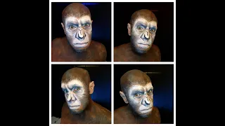 makeup LIVE  cesar planeta dos macacos