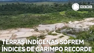 Terras indígenas sofrem índices de garimpo recorde