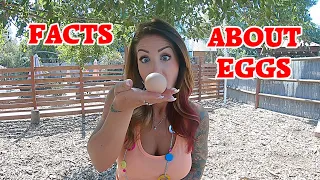 EGGcellent Facts About Farm Fresh Eggs at The Crouch Ranch. how to tell if eggs are good or bad