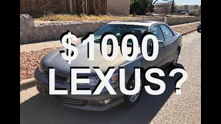 I bought a 2000 Lexus ES300 for $1000!