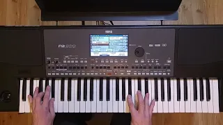 Gummi Mambo - Korg Pa600