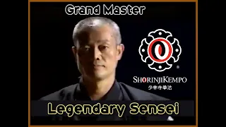 Legendary Master, Sensei Yamasaki Hiromichi, 7 Dan Shorinji Kempo. Martial Arts. 少林寺拳法