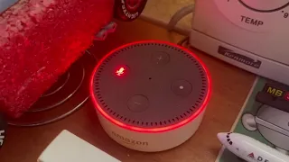 Asking Alexa How Many Days In Every Month (Reversed) / Asking Alexa How Many Days In Every Month