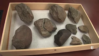 Oldest Known Stone Tools Discovered: 3.3 Million Years Old | National Geographic