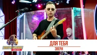 Звери - Для тебя. «Золотой Микрофон 2019»