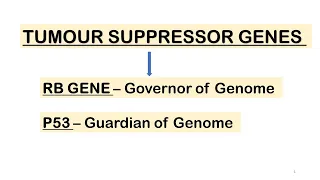 Tumour Suppressor Gene - RB Gene, P53 Gene.