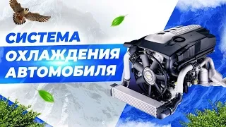 СИСТЕМА ОХЛАЖДЕНИЯ ДВИГАТЕЛЯ АВТОМОБИЛЯ. Устройство, анимация, советы.