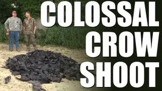 Fieldsports Britain - Colossal crow shoot