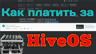 Как платить за HiveOS