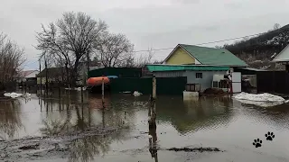 Паводок Сакмара Кураганка Кувандык 09 04 2024 10-11 часов