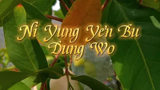 Ni Yong Yuan Bu Dong Wo 你永远不懂我