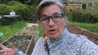 How to Build a Lasagna Garden - The easiest, most productive method I've used
