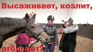 Почему молодая лошадь высаживает, козлит, отбивает?