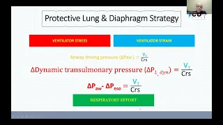 Lung- and Diaphragm- Protective Ventilation
