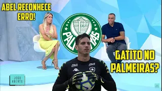 JOGO ABERTO: VERDÃO QUER GATITO? ABEL RECONHECE ERRO E PEDE DESCULPAS