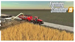 THE BIG WHEAT HARVEST, WINTER IS HERE | Nebraska Lands Roleplay Server | Farming Simulator 19