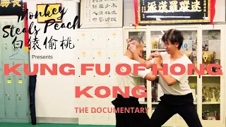 Northern Fist of Mizong Luohan - Kung Fu of Hong Kong ep3