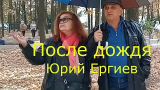 После дождя Ергиев Юрий