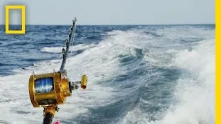 Catch of the Week - On a Fin and a Prayer | Wicked Tuna: Outer Banks