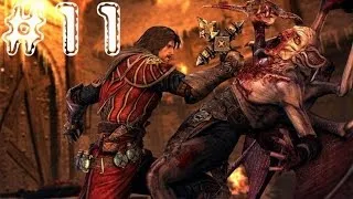 Castlevania: Lords of Shadow. Серия 11 [Библиотека аббатства]