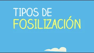 Tipos de fosilización