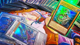 I built a Swordsoul deck with the new Ban List to DESTROY the META!