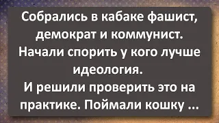 Фашист, Демократ и Коммунист Поймали Кошку! Сборник Самых Свежих Анекдотов!