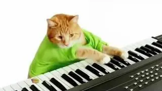 Keyboard Cats Wonderful Pistachios Commercial!