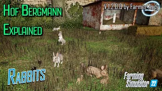 ❓ FS22 Hof Bergmann Explained ❓ Rabbits