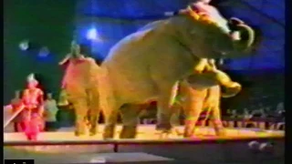 Circus KRONE, 1989 | TV docu 2 | Dutch
