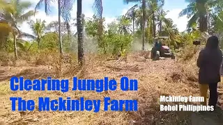 Jungle Clearing PART 2