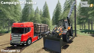 Cutting Down Trees Using Huddig Lifter, Forestry, Selling Logs│Campaign Of France│FS 19│Timelapse#12