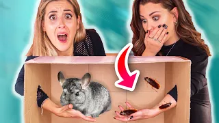 On a été PIÉGÉES! *ANIMAUX VIVANTS* (What's in the BOX challenge ft. EnjoyPhoenix) | DENYZEE