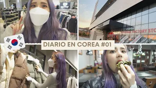 SE ACABO LA CUARENTENA | Día de Shopping en Corea🇰🇷