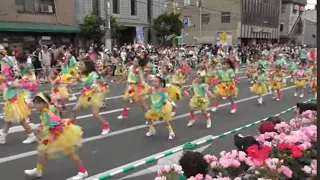 福山ばら祭り2024 ローズパレードあれこれ