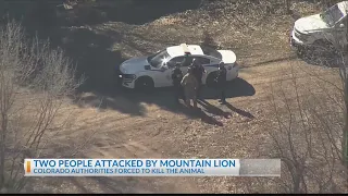 Mountain lion killed after attacking two people
