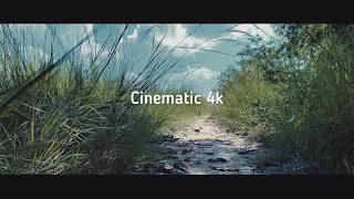 iPhone 13 Cinematic 4k 60fps Camera Test