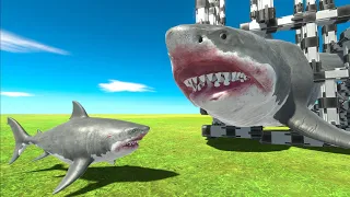 Baby Megalodon Saves Mother - Animal Revolt Battle Simulator