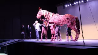 War Horse full-size horse puppet stage show demonstration in Salt Lake City