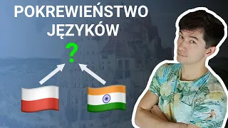 Language Genealogy - Why do Polish and Hindi languages sound similar? [🇵🇱]