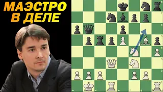 Лучшее с - Александр Морозевич 004 #шахматы #Морозевич #chess
