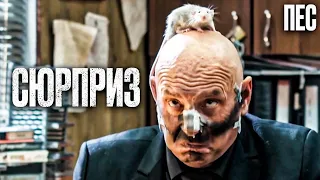 🎬 ДАРУНОК ДОЛІ! Цікавий ДЕТЕКТИВ 2023 - Серіал ПЕС 2023 - Найкращі серії