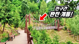 🚉 드디어 순환코스 완성!  걷기 편한 도심 속 10km 올레길 | 📸 대중교통 당일치기 여행 | 🇰🇷Urban Forest Trekking Course in KOREA