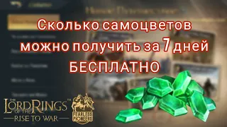 LOTR: Rise to War | Сколько самоцветов можно получить за 7 дней бесплатно?