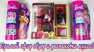 Стрим с Женей. Обзор кукол Barbie Cutie Reveal кошка и заяц, Rainbow High и черная канарейка