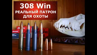 308 Win реальный патрон для реальной охоты!  Почему?